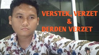 Verstek Verzet dan Derden Verzet [upl. by Frodine]