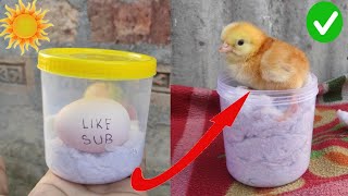 How to hatch eggs at home without incubator  amazing eggs hatching without incubator [upl. by Debor107]