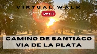 Day 11 Camino de Santiago  Via de la Plata in August Alcuescar to Valdesalor 4k [upl. by Mulderig878]