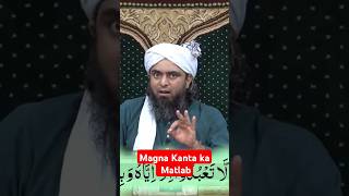 Magna carta ka Matlab bayan quran engineermuhammadalimirzalatestbayan [upl. by Artimid]