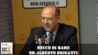 Becco di Rame  Alberto Briganti a Radiobau [upl. by Eskil]