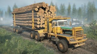 SnowRunner  pacific P16  LOGGING Transport de lemne [upl. by Nellad]