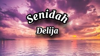 Senidah  Delija Lyrics tekst [upl. by Alo311]