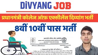 दिव्यांग भर्ती प्रधानमंत्री कॉलेज ऑफ़ एक्सीलेंसDivyang jobnew job information [upl. by Fevre]