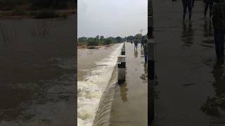 Muddenahalli bridge 😱 shorts hindupursasi hindupur river [upl. by Gennifer]