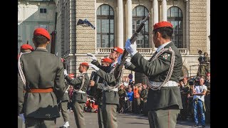 Nationalfeiertag 2019 Showexerzieren 1GdKp [upl. by Iblok]