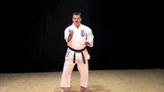 Wansu Kata of IsshinRyu Karate Michael Calandra [upl. by Reube835]