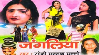 JANGLIYA  जंगलिया  Soni Chhamak chhallo  New Hit Song  Latest lokgeet 2023  Rathore Cassettes [upl. by Otipaga]