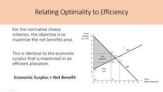 Environment and Natural Resource Economics Tietenberg Chapter 3 [upl. by Urba42]