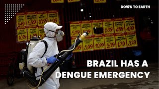 Dengue outbreak in Brazil prompting emergency health measures [upl. by Arondell]