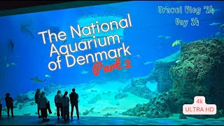 Explore Denmarks National Aquarium in 4K for FREE Travel Vlog 24 Day24 aquarium аквариум [upl. by Justinn]