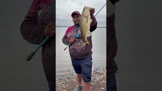 Tips and tricks for unhooking a gut hooked fish fishing fishingfanatics [upl. by Egin74]