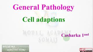 Pathology  Cell adaptation  part1  Afsomali [upl. by Llenoj]