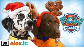 Paw Patrol  Real Pups Save Christmas  Nick Jr UK [upl. by Aeki]