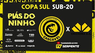 CASCAVEL X CRICIÚMA  COPA SUL SUB20 [upl. by Yleen159]