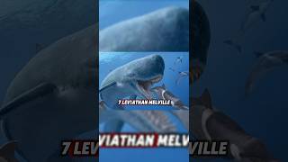 The Livyatan melvillei extinctanimals [upl. by Leagiba]