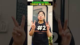 Parenchyma Tissues Explained In 60 Seconds⏱️⌛📚🔥 class9 class9science parenchyma khushboomam [upl. by Aan]