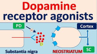 Dopamine receptor agonists for Parkinson Disease PD [upl. by Flossie]