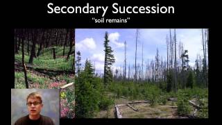 Ecological Succession [upl. by Ailemrac766]