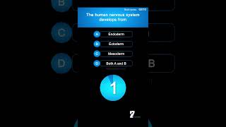 The human nervous system develops from biology brain [upl. by Getter207]