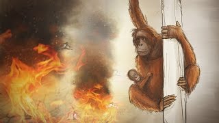 Warum OrangUtans für Palmöl sterben – eine kurze Geschichte [upl. by Sarge]