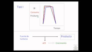 umh1399 Lec0026 Fermentaciones y Crecimiento [upl. by Attoynek600]