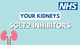 SGLT2 Inhibitors in Chronic Kidney Disease [upl. by Rossuck]