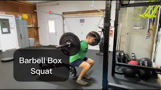 Barbell Box Squat [upl. by Negaet78]