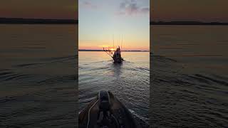 Caddo Lake is beautiful 🌅 kayakbassfishing bassfishing fishing fyp [upl. by Isyed769]