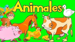 Sonidos de Animales para bebes  Aprende los Animales  Videos para Ninos  SuperDivertido [upl. by Kincaid]