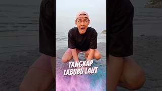 Tangkap Labubu Laut 🏝️ [upl. by Xenophon]