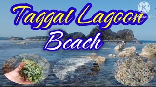 Taggat Lagoon beach claveria cagayan philippines bonding [upl. by Bird]