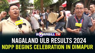 NAGALAND ULB RESULTS 2024 NDPP BEGINS CELEBRATION IN DIMAPUR [upl. by Natelson]