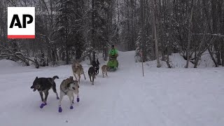 Iditarod champion talks about defending title on eve of Alaskas iconic race [upl. by Os400]