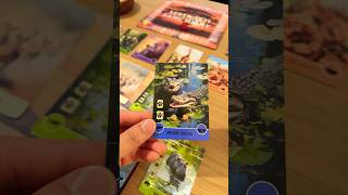 This is my new favourite card game 🦒🐘🦁🌿❤️🌻 boardgame tabletopgames gamenight [upl. by Sarena]