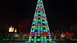 LCI Longleat Xmas Show 2017  The Magic Tree [upl. by Yrahk]