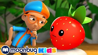 Frutas y vegetales  BlippiEspanol  Blippi Wonders  Caricaturas para niños [upl. by Meedan]