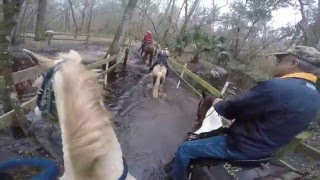 For the Love of Mud and Water Extreme Horse Trail Riding [upl. by Fowle]