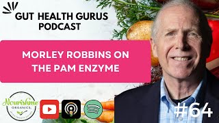 Morley Robbins on The PAM Enzyme Part 2 [upl. by Ahsenid]