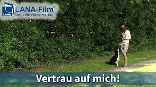 Vertrau auf mich DVD  Hunde souverän führen [upl. by Ytsenoh]