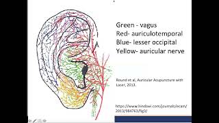 An Introduction to Auricular Acupuncture for Pain Management [upl. by Aret882]