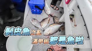 【台客去船釣】四年一次潮境公園盛況剝皮魚之亂！正餌正吃組掉的比釣起來的多！feat星鋒6號娛樂海釣船 [upl. by Aidne]