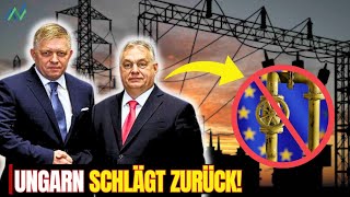 Energiekrise in Europa Ungarn und Slowakei schockiert Kiew mit einem Vergeltungsschlag [upl. by Sane224]