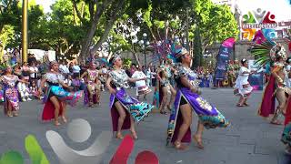 Danza Prehispánica  Compañía De Danza Folklórica de Cholula Mixcoacalli [upl. by Lieno664]