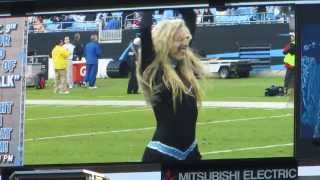 Carolina Panthers TopCats 12113 [upl. by Ahtibat68]