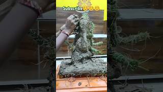 Ganesh making with durva grass ganesh making durva grass vinayak shorts ecofriendly 2024 yt [upl. by Inalem]