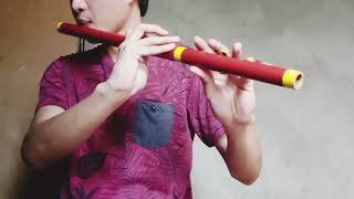 Ili ili tulog anay  A Filipino Folk Song  Flute [upl. by Freed]