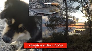 Inarijärvi elokuu 2023 [upl. by Hike]