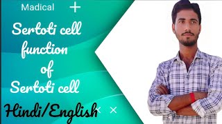 Sertoti cell l function of Sertoti cell [upl. by Nonnahc77]