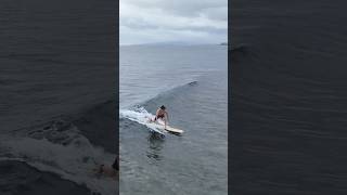 Beginner scores a good wave surfing wavestorm softtop beginnersurfer hawaii [upl. by Annalise]